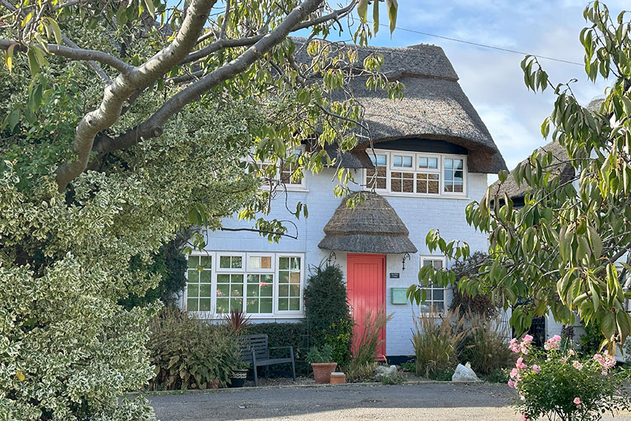 The puzzle of middle class thieves